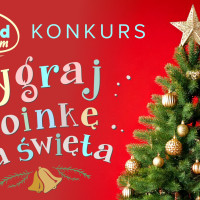 Choinki na Święta od Weekend FM. Wygraj świeżą, pachnącą choinkę!