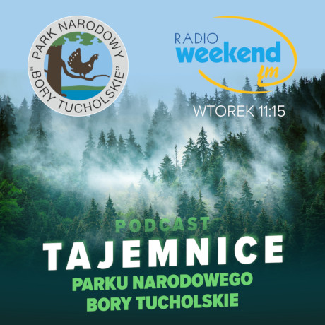 Kafelek audycji: Tajemnice Parku Narodowego Bory Tucholskie
