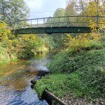 fot. Wojciech Piepiorka