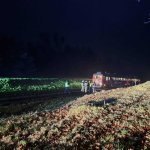 fot. Stanisław Kamiński