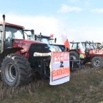 fot. Stanisław Kamiński