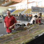 fot. Stanisław Kamiński