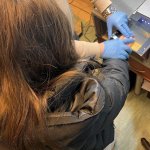 fot. KPP w Człuchowie