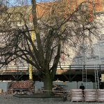 fot. Klaudia Cieplińska-Bednarek