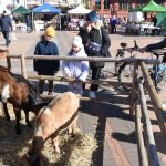 fot. Stanisław Kamiński
