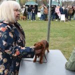 fot. Stanisław Kamiński