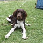 fot. Stanisław Kamiński